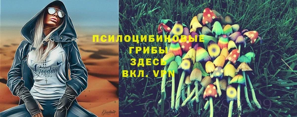 mix Алексин