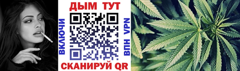 Бошки марихуана THC 21%  Фатеж 